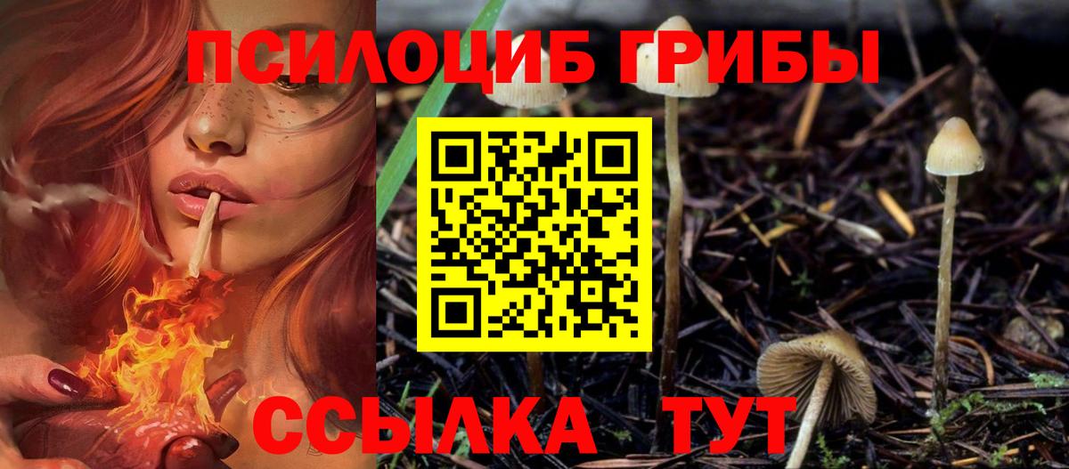 Псилоцибиновые грибы прущие грибы Новокубанск