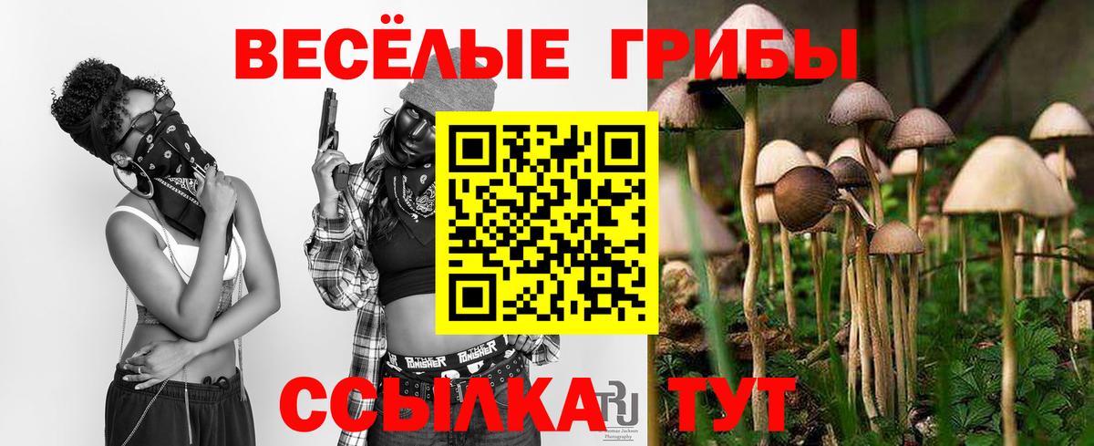 Псилоцибиновые грибы Psilocybine cubensis  Вход с VPN  Новокубанск 